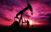 Украина значительно увеличила импорт нефти