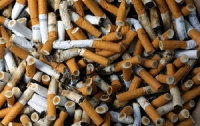 Пограничники за сутки изъяли более 60 ящиков сигарет
