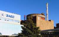 Запорожская АЭС приостановила поставки электричества в Украину
