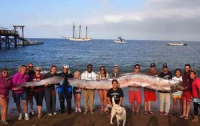 В Калифорнии выловили морское чудовище (ФОТО)