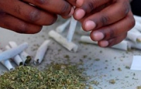 В Уругвае легализовали производство и продажу марихуаны