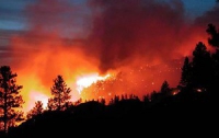 В Севастополе загорелся уникальный хвойный лес на площади 9 га