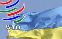 ВТО может оштрафовать Украину за квоты на экспорт зерна