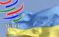 ВТО может оштрафовать Украину за квоты на экспорт зерна