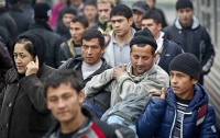 Ученые выявили связь между повышением температур в мире и ростом числа беженцев в ЕС