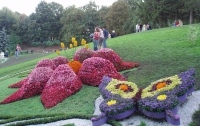 21 августа в Киеве начнется выставка цветов