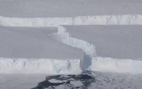 В Антарктиде появился новый крупный айсберг (фото)