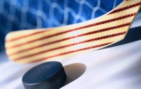 Украинские хоккеисты вышли в финальный раунд олимпийской квалификации