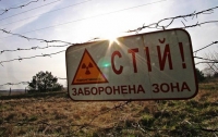 В Чернобыльской зоне задержали четырех 