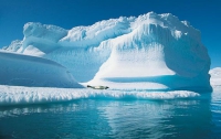 Основными богатствами арктического региона являются биологические ресурсы