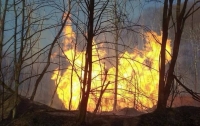 На Закарпатье из-за пожара поврежден газопровод