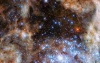 Орбітальний Телескоп Hubble виявив дев'ять зірок-монстрів