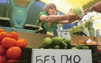 В Украине утвердили правила регистрации ГМО