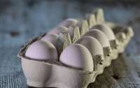 В Украине изменили правила продажи куриных яиц