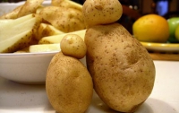 Диетологи назвали самое опасное для здоровья блюдо из картофеля
