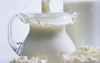 Производители молока будут ежегодно терять до 500 млн грн., - мнение
