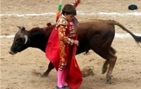 Тореадору запретили убивать быков