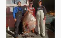 Рыбаки поймали огромную опаху весом 65 килограммов