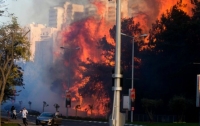 В Израиле десятки тысяч жителей эвакуированы из-за лесных пожаров