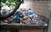 Коммунальщики решили выбрасывать мусор под окна граждан