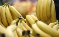 Кокаин нашли в коробках с эквадорскими бананами в польских магазинах