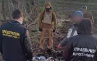 На Донбассе отловили опасного боевика