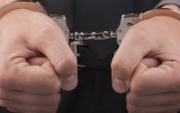 Правоохранители арестовали запорожского педофила