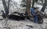 В Житомирской области на мине подорвались родители 8 детей