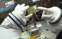 На борту МКС обнаружены неизвестные микроорганизмы