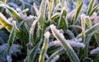 В Украине 19 сентября возможны заморозки