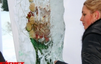 Киевляне любуются «Цветами Снежной Королевы» (ФОТО)