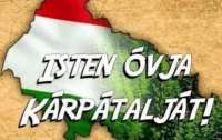 Украинский депутат пожаловалась на тяжелую жизнь венгров в Украине (фото)