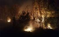 Масштабные пожары на Луганщине: Людей эвакуируют в школы Северодонецка, учебный процесс приостановили
