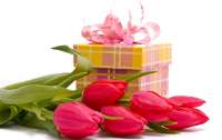 Топ 10 подарков, которые ждут девушки в международный женский день