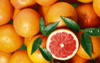 Грейпфрут поможет избежать болезней почек