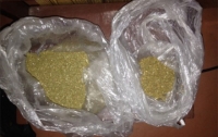 Почти 100 кг марихуаны изъяли полицейские у жителя Кировоградской области