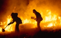 В Севастополе любительница-садовод сожгла лес