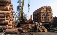 «Мораторий на экспорт леса снимут, но введут экспортные пошлины» – Карасев