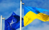 Украина и НАТО обсудили противодействие гибридной агрессии