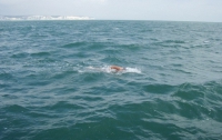 Женщина утонула, переплывая Ла-Манш