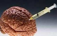 Опухоль мозга будет «разъедать» специальный протеин