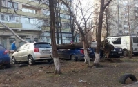 ЧП в Киеве: дерево рухнуло на автомобили