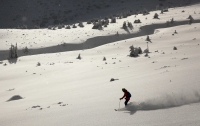Группа лыжников потерялась из-за сильного тумана в Карпатах