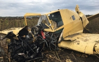 В Хмельницкой области над подсолнечным полем разбился самолет