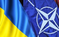 Создана инициативная группа и сформулирован вопрос для референдума о вступлении Украины в НАТО