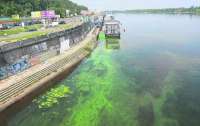 Показали, чем загрязняют воду Днепра