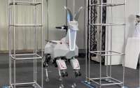 Четвероногий робот Bex может использоваться в качестве колесного транспортировщика для экономии энергии
