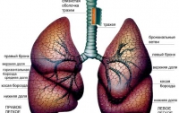 Эмфизема легких – на совести генов, - ученые