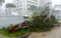 Десять человек стали жертвами тайфуна «Халонг» в Японии