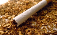 Увеличение акциза на сигареты вызовет рост «черного» рынка